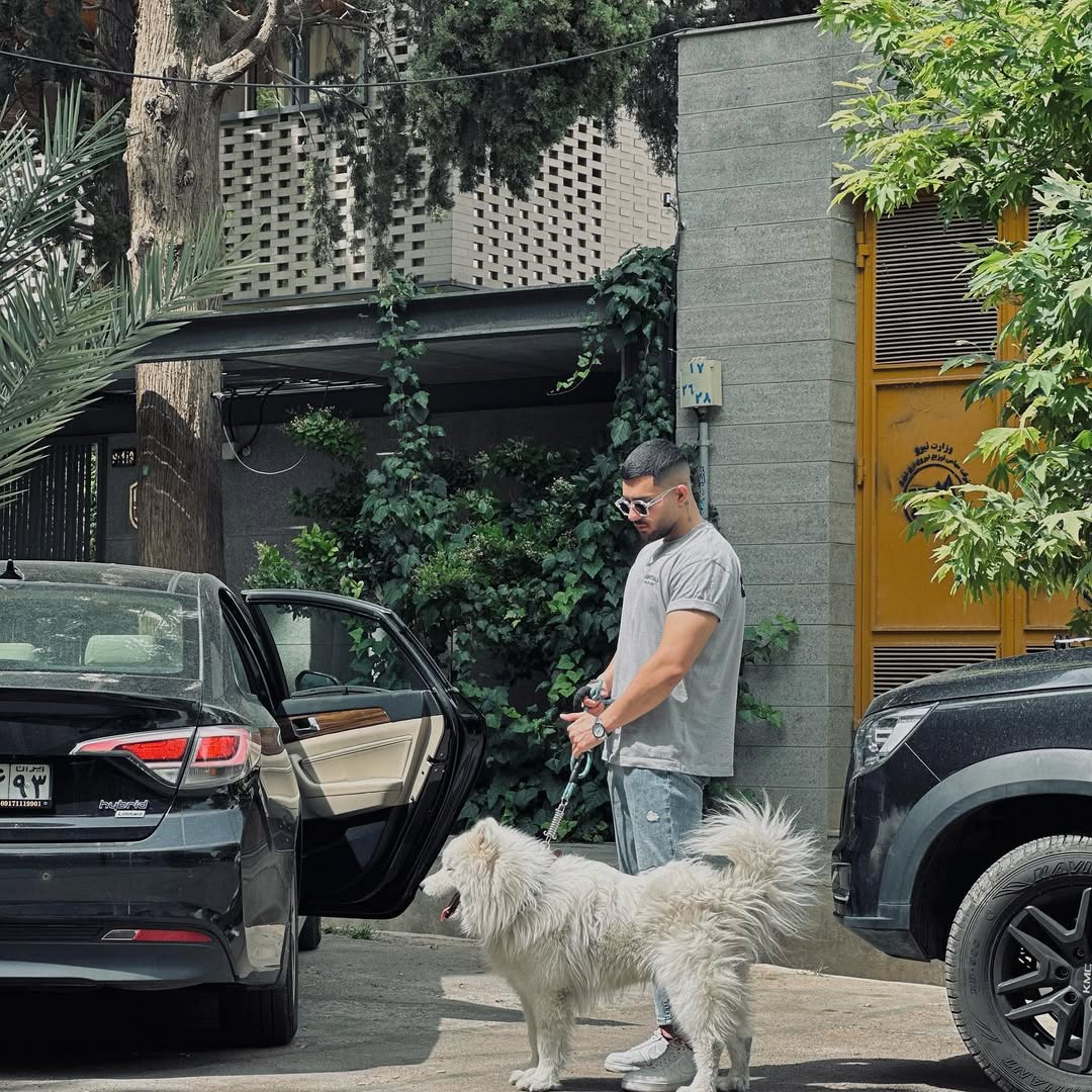 بیوگرافی یاشار عشق ابدی 9 بیوگرافی یاشار عشق ابدی