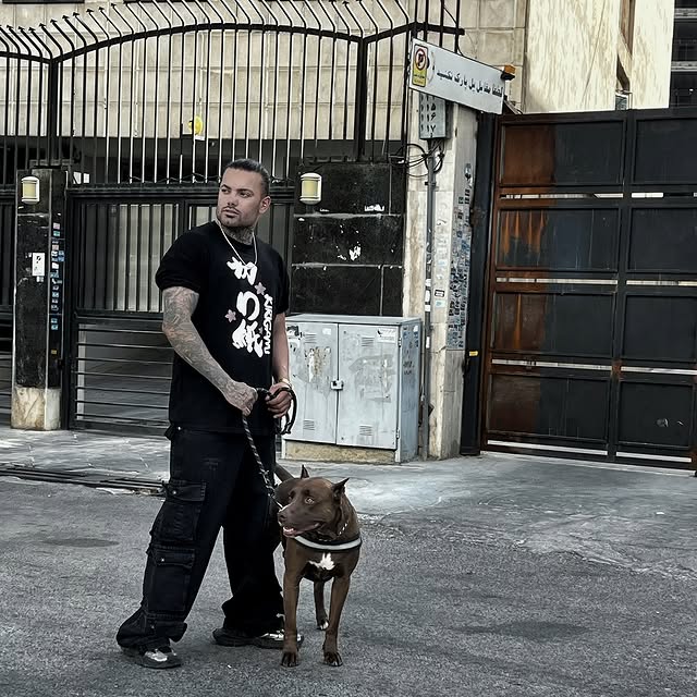 بیوگرافی مهیار عشق ابدی